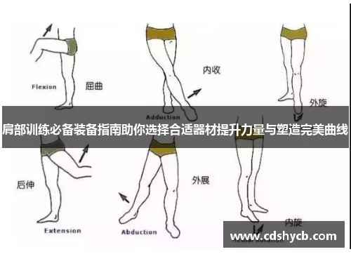 肩部训练必备装备指南助你选择合适器材提升力量与塑造完美曲线